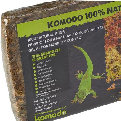Inspiráló terráriumdekorációs ötletek: hozz létre saját mini-ökoszisztémát