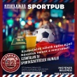 Programturizmus