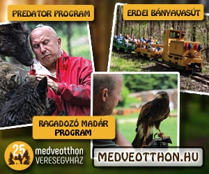 Veresegyházi Medveotthon látogatás: erdei bányavasút, predátor program, ragadozó madár program
