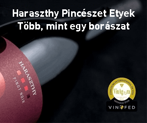 Haraszthy Pincészet Etyek - Több, mint egy borászat