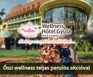 Gyulai wellness kikapcsolódás teljes panziós akcióval!