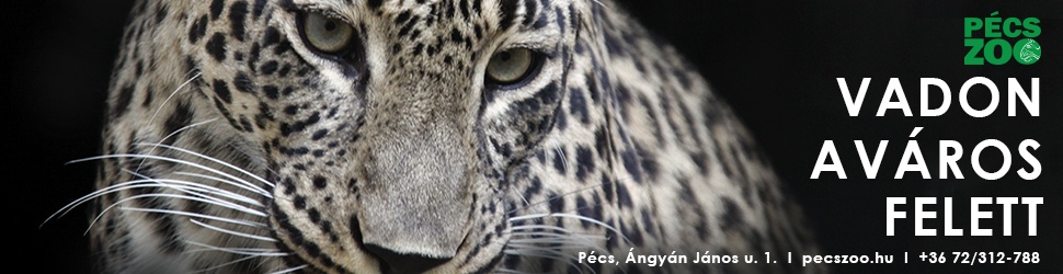 Pécsi állatkertünkben egész évben várjuk!
