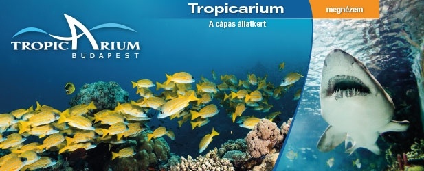 Tropicarium és Óceanárium  Budapest - Egzotikus állatkert - Campona