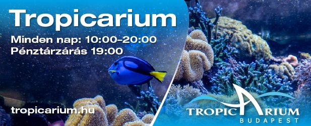 Tropicarium és Óceanárium  Budapest - Egzotikus állatkert - Campona