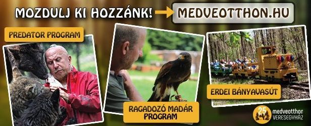 Veresegyházi Medveotthon látogatás egész évben