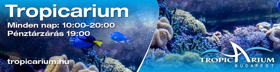 Tropicarium és Óceanárium  Budapest - Egzotikus állatkert - Campona
