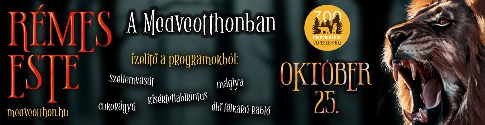 Halloween a Veresegyházi Medveotthonban 2025. október 25-én