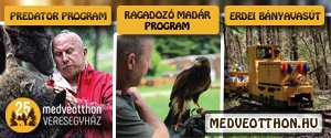 Veresegyházi Medveotthon látogatás egész évben