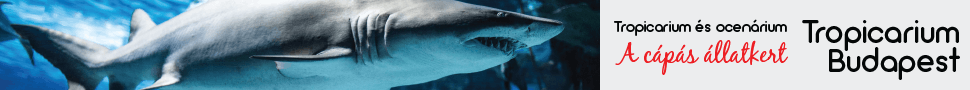 A Tropicarium – a cápás állatkert