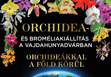 Tavaszi zsongás orchideákkal, a Magyar Orchidea Társaság orchidea és bromélia kiállítása Budapesten