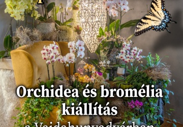 Orchidea és Bromélia Kiállítás 2022 Budapest