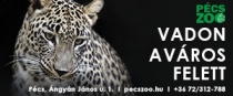 Pécsi állatkertünkben egész évben várjuk!