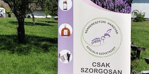 Levendulaszüret Sárkeresztúr 2025. Újra kinyit levenduláskertünk a szüretelni és illatolni vágyók előtt!