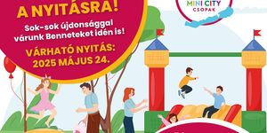 Balatoni kalandpark, családbarát élménypark izgalmas játékokkal, élményelemekkel Csopakon