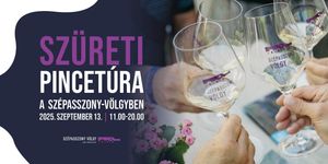 Egri pincék, pincetúrák 2025. Borkóstoló programok a Szépasszony-völgyben, az Egri Bornegyedben