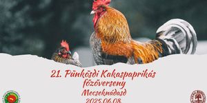 Kakaspaprikás főzőverseny Mecseknádasd 2025
