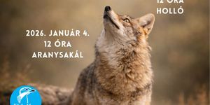 Körös-Maros Nemzeti Park programok 2026. Események, rendezvények