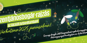 Szentjánosbogár rajzás 2025. Szentjánosbogár tánc és éjszakai fényjáték az Alcsúti Arborétumban
