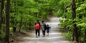 A fotó illusztráció. Forrás: Pixabay.com