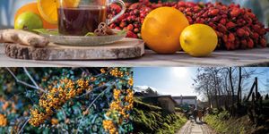 Forralt boros barangolások Monor 2026. Nyitott pincék a Monori Pincefaluban