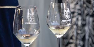 Bor- és Csemegeszőlő Fesztivál 2026 Vonyarcvashegy 