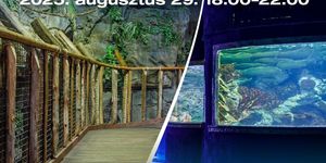 Állatkertek Éjszakája Tropicarium 2025 Budapest