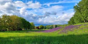 Ásványrárói programok 2026 - Események és rendezvények