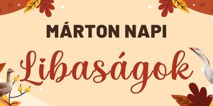 Márton-napi Libaságok Kisvárda 2025