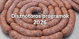 Disznótor programok 2026. Disznóvágások, böllérprogramok