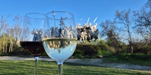 Borkóstoló program Budapest 2026 - Fel vörösök, fehérek!