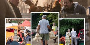 Jászapáti vásárok 2026. Állat- és kirakodóvásár minden hónap első vasárnapján