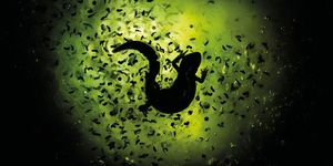 Természetfotó kiállítás Szekszárd 2026