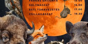 Állatkertek éjszakája 2025 Szarvas. Várjuk a Körös-Maros Nemzeti Park Állatparkjában