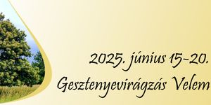 Gesztenyevirágzás 2025 Velem