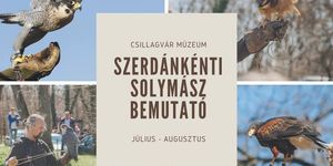 Solymászbemutató Balatonszentgyörgy 2025