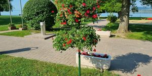 Balatonfűzfő programok 2025. Események, rendezvények, fesztiválok