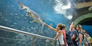 Tisza-tavi Ökocentrum