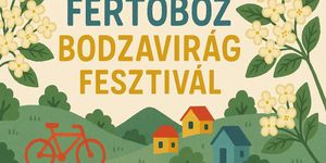 Bodzavirág Fesztivál 2025 Fertőboz