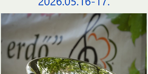 Muzsikál az Erdő Kecskemét 2026