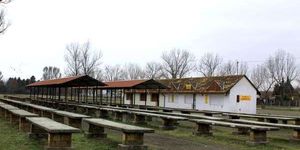 Halasi vásár Kiskunhalas 2026. Országos állat- és kirakodóvásár