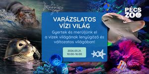 Víz Világnapja Pécs 2026. Víz világnapja programok a PécsZoo-ban
