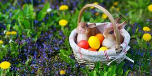 Abádszalóki Húsvét 2026 - Ünnepi programok a Tisza-tó Strandon