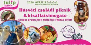 Tulipánszüret Tázlár 2026 - Homokhátsági tulipánszüret és piknik a TulipGardenben