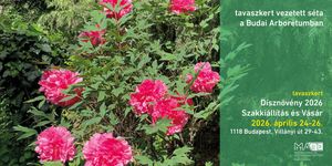 Arborétum séta 2026 Budapest