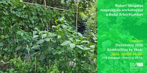 Biokert-látogatás 2026 Budapest - Magaságyás workshop a Budai Arborétumban