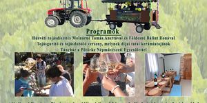 Tatai Húsvét 2026 - Tavaszi zsongás a Látóhegyen