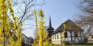 Sóstói Múzeumfalu