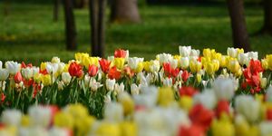 Nemzeti Botanikus Kert programok 2026 Vácrátót