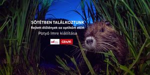 Fotókiállítás Gödöllői Királyi Kastély 2026 - Potyó Imre Sötétben találkoztunk című kiállítása