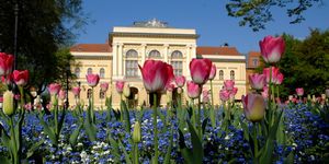 Szentes Városnapok 2026